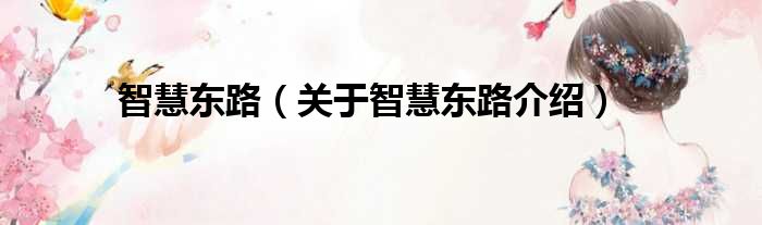 智慧东路 关于智慧东路介绍