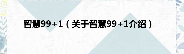智慧99+1 关于智慧99+1介绍