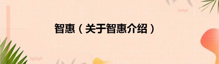 智惠 关于智惠介绍