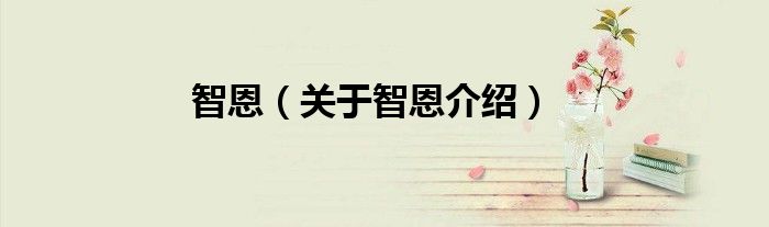 智恩 关于智恩介绍