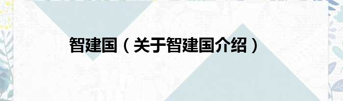 智建国 关于智建国介绍