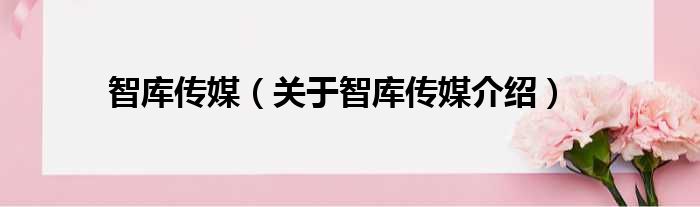 智库传媒 关于智库传媒介绍