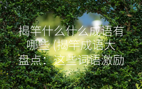 揭竿什么什么成语有哪些 (揭竿成语大盘点：这些词语激励人们为信仰和正义而奋斗)