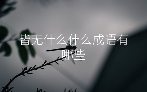 皆无什么什么成语有哪些