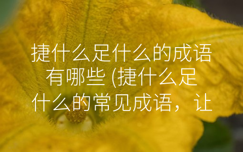 捷什么足什么的成语有哪些 (捷什么足什么的常见成语，让我们学会-龙行虎步”、-飞黄腾达”、-快人快语”、-急功近利”、-勇往直前”)