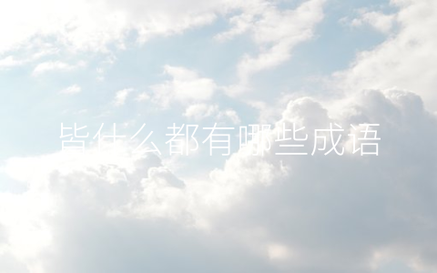 皆什么都有哪些成语