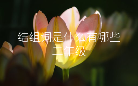 结组词是什么有哪些二年级