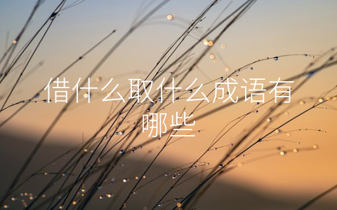 借什么取什么成语有哪些