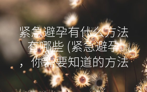 紧急避孕有什么方法有哪些 (紧急避孕，你需要知道的方法。)