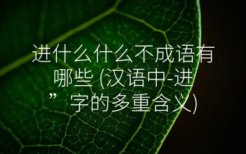 进什么什么不成语有哪些 (汉语中-进”字的多重含义)