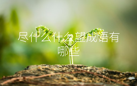 尽什么什么望成语有哪些