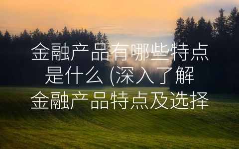金融产品有哪些特点是什么 (深入了解金融产品特点及选择要点)