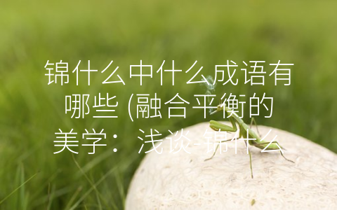 锦什么中什么成语有哪些 (融合平衡的美学：浅谈-锦什么中什么”成语)