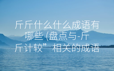 斤斤什么什么成语有哪些 (盘点与-斤斤计较”相关的成语)