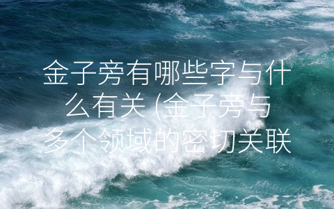 金子旁有哪些字与什么有关 (金子旁与多个领域的密切关联)