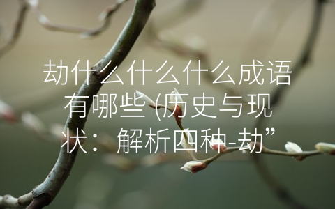 劫什么什么什么成语有哪些 (历史与现状：解析四种-劫”字成语及其含义)