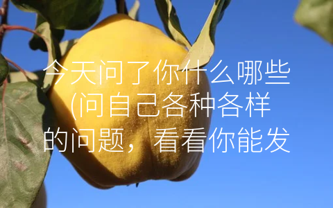 今天问了你什么哪些 (问自己各种各样的问题，看看你能发现什么！)