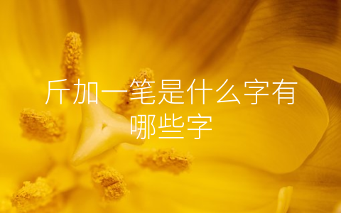 斤加一笔是什么字有哪些字