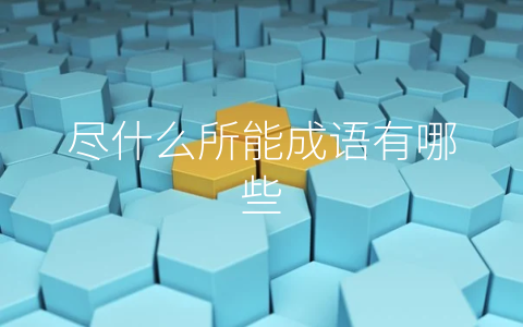 尽什么所能成语有哪些