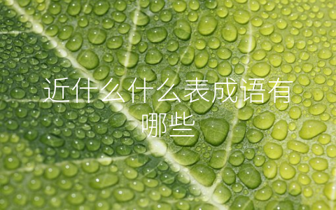 近什么什么表成语有哪些