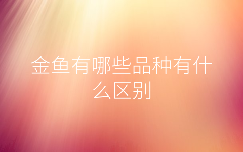 金鱼有哪些品种有什么区别