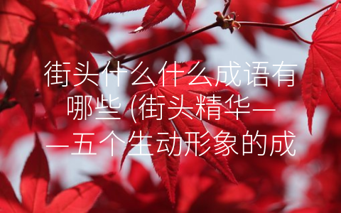 街头什么什么成语有哪些 (街头精华——五个生动形象的成语)