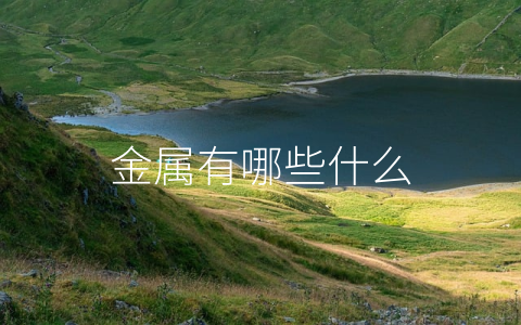 金属有哪些什么