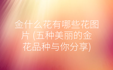 金什么花有哪些花图片 (五种美丽的金花品种与你分享)