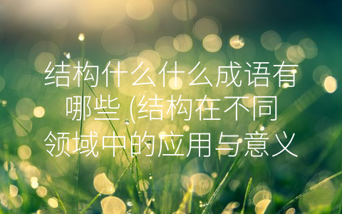 结构什么什么成语有哪些 (结构在不同领域中的应用与意义)