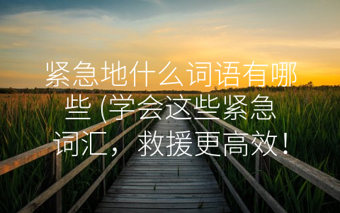 紧急地什么词语有哪些 (学会这些紧急词汇，救援更高效！)