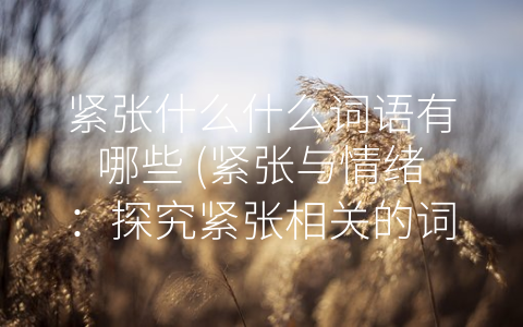 紧张什么什么词语有哪些 (紧张与情绪：探究紧张相关的词语及其应对方法)