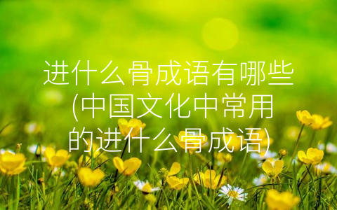 进什么骨成语有哪些 (中国文化中常用的进什么骨成语)