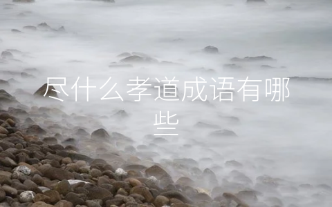 尽什么孝道成语有哪些