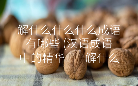 解什么什么什么成语有哪些 (汉语成语中的精华——解什么什么什么成语有哪些)