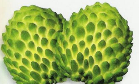 释迦果切开后没熟怎么保存图3