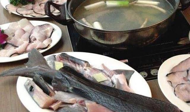 嘴巴像鲶鱼身体又像翘嘴的鱼(嘴像马口尾巴扁长的鱼)图12