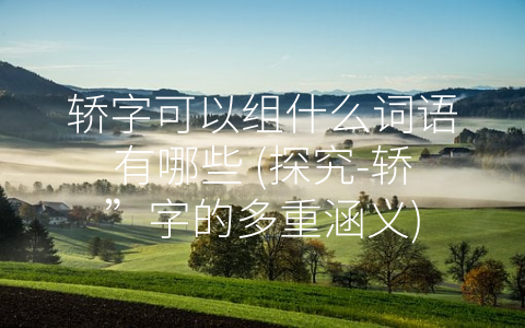 轿字可以组什么词语有哪些 (探究-轿”字的多重涵义)