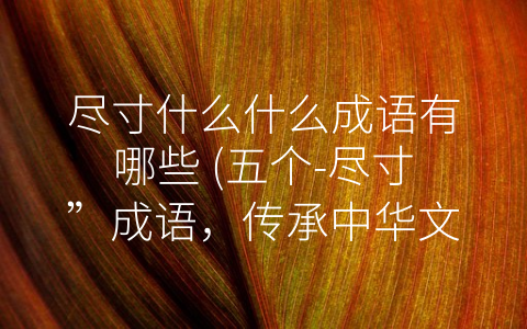 尽寸什么什么成语有哪些 (五个-尽寸”成语，传承中华文化精髓)
