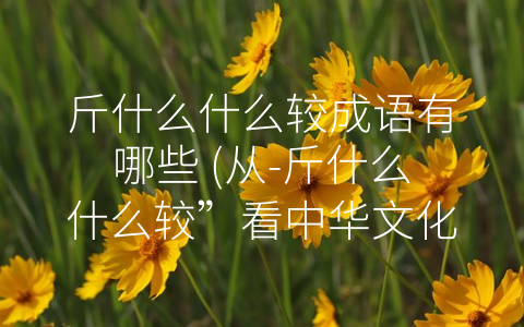 斤什么什么较成语有哪些 (从-斤什么什么较”看中华文化的独特魅力)