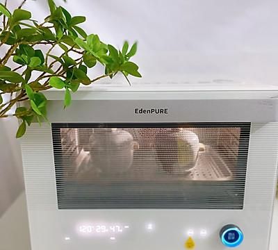 霸王花玉竹排骨汤图5