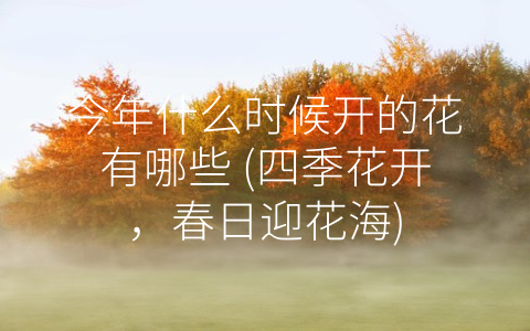 今年什么时候开的花有哪些 (四季花开，春日迎花海)