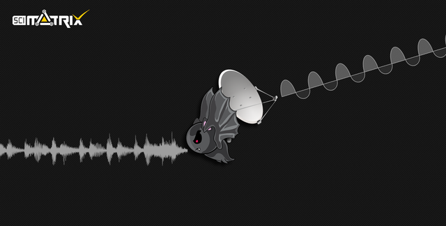 雷达是从蝙蝠身上学来的,雷达是怎样从蝙蝠身上得到启示的图4