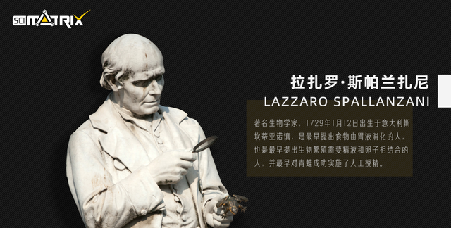 雷达是从蝙蝠身上学来的,雷达是怎样从蝙蝠身上得到启示的图5