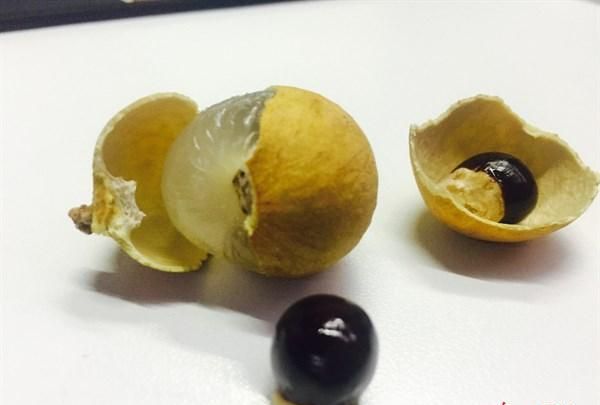 天然安眠药失眠吃一点一觉到天亮图3