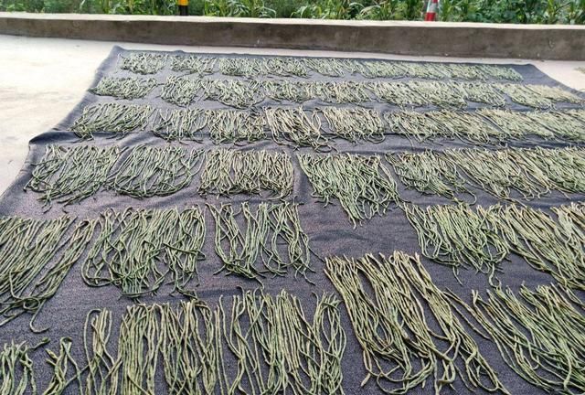 被子晒完之后有焦味是不是螨虫(暴晒的被子是螨虫烤焦的味道吗)图4