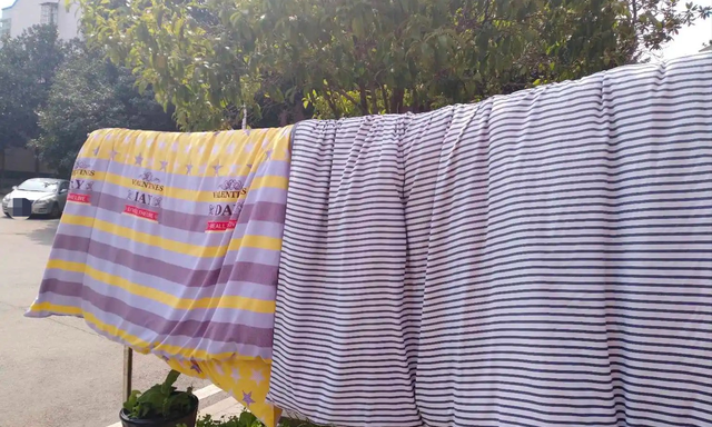 被子晒完之后有焦味是不是螨虫(暴晒的被子是螨虫烤焦的味道吗)图7