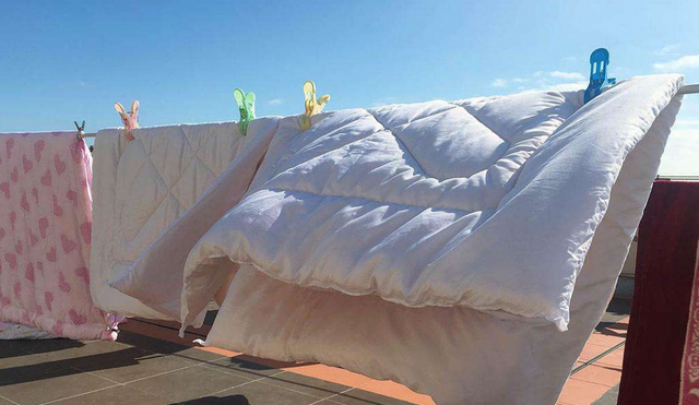 被子晒完之后有焦味是不是螨虫(暴晒的被子是螨虫烤焦的味道吗)图10