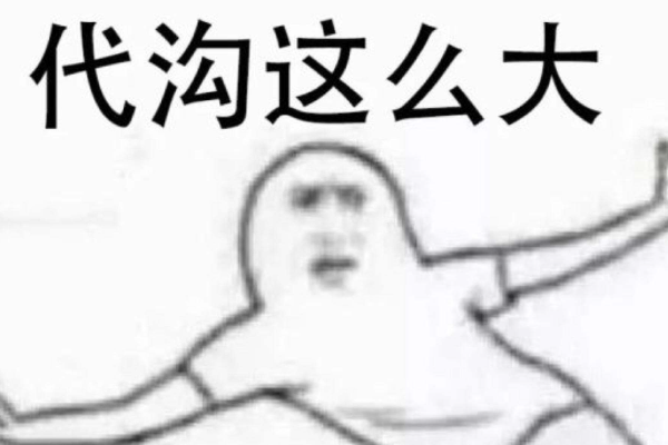 有代沟是什么意思