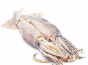 买鱿鱼和虾的正确方法 娃娃菜鱿鱼虾还有各种海鲜乱炖