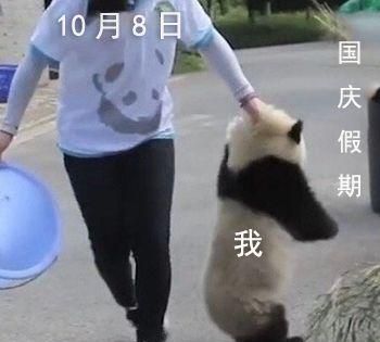 火车返程哪些东西不能带(乘坐火车返程哪些事情一定要注意)图2